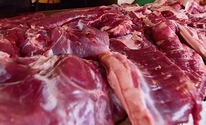 Nhận diện thịt nhiễm tả lợn châu Phi