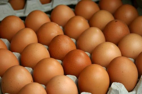 Trứng gà biến đổi gene điều trị ung thư